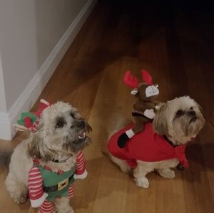 Meet your Posher, Donna